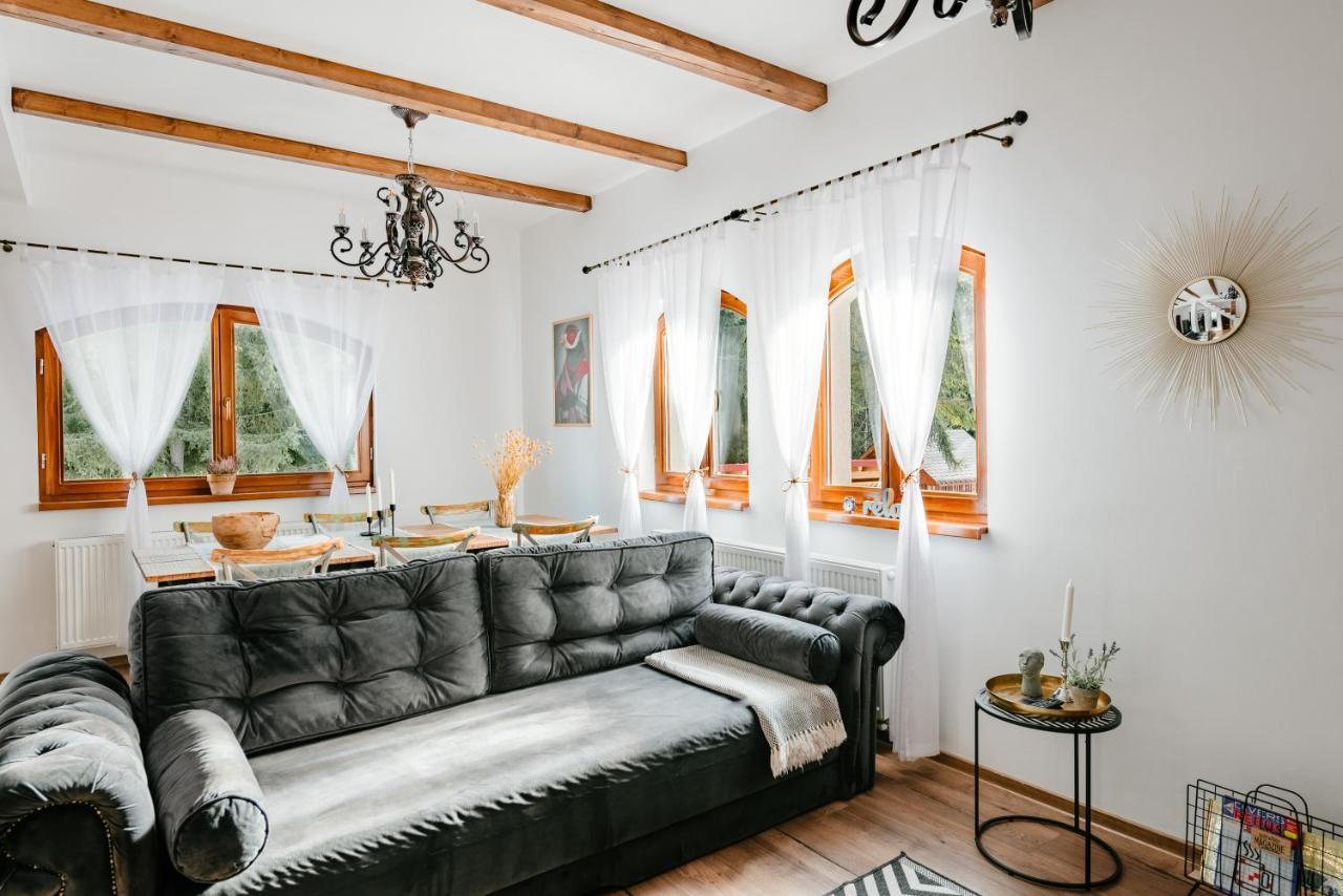 Vilă Casa Cifu Topliţa