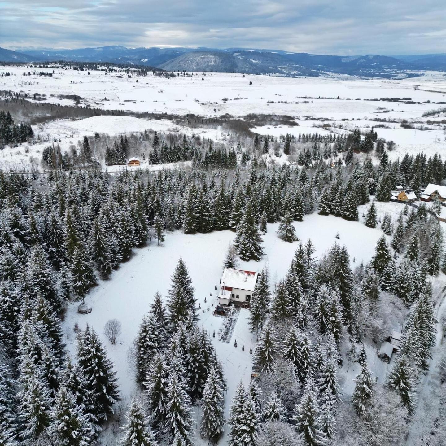 Casa Cifu Topliţa